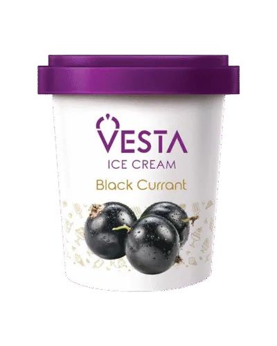 Vesta Black Currant 500ml family pack